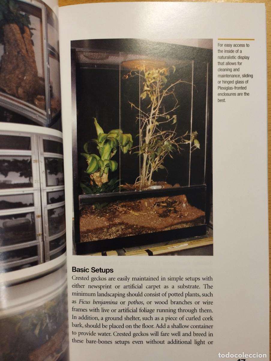 Libros de segunda mano: CRESTED GECKOS. FROM THE EXPERTS AT ADVANCED VIVARIUM SYSTEMS (PHILIPPE DE VOSJOLI) - Foto 12