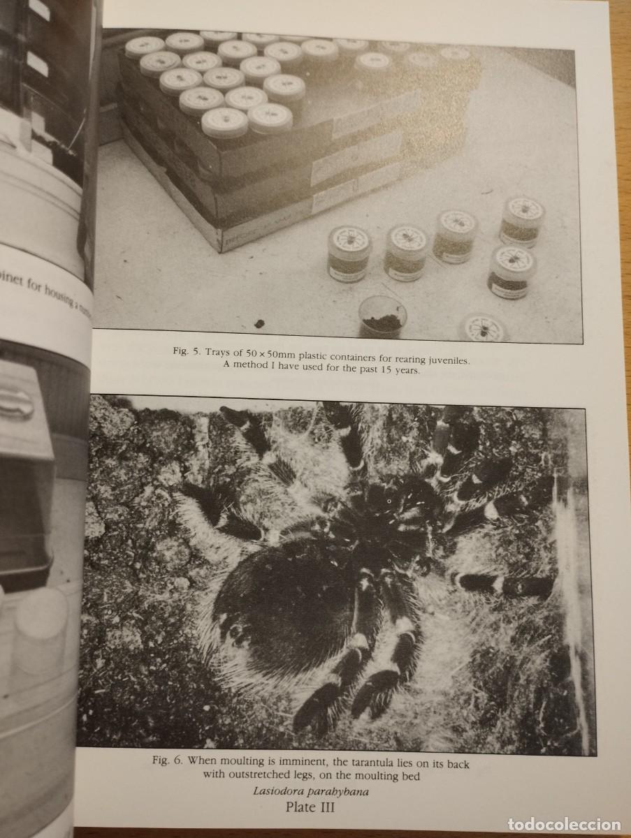 Libros de segunda mano: KEEPING AND BREEDING TARANTULAS (RONALD N. BAXTER) - Foto 3