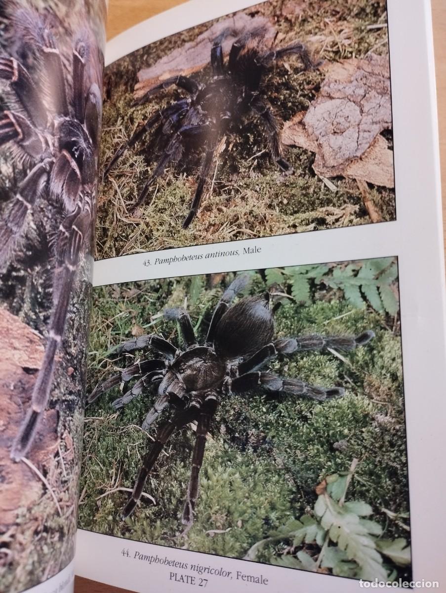 Libros de segunda mano: KEEPING AND BREEDING TARANTULAS (RONALD N. BAXTER) - Foto 4