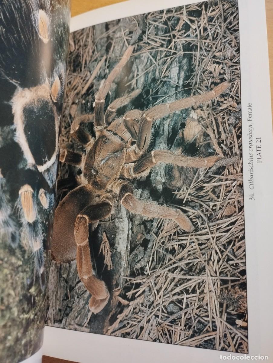 Libros de segunda mano: KEEPING AND BREEDING TARANTULAS (RONALD N. BAXTER) - Foto 5