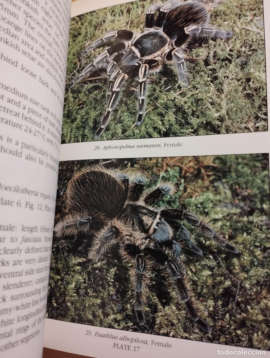 Libros de segunda mano: KEEPING AND BREEDING TARANTULAS (RONALD N. BAXTER) - Foto 6