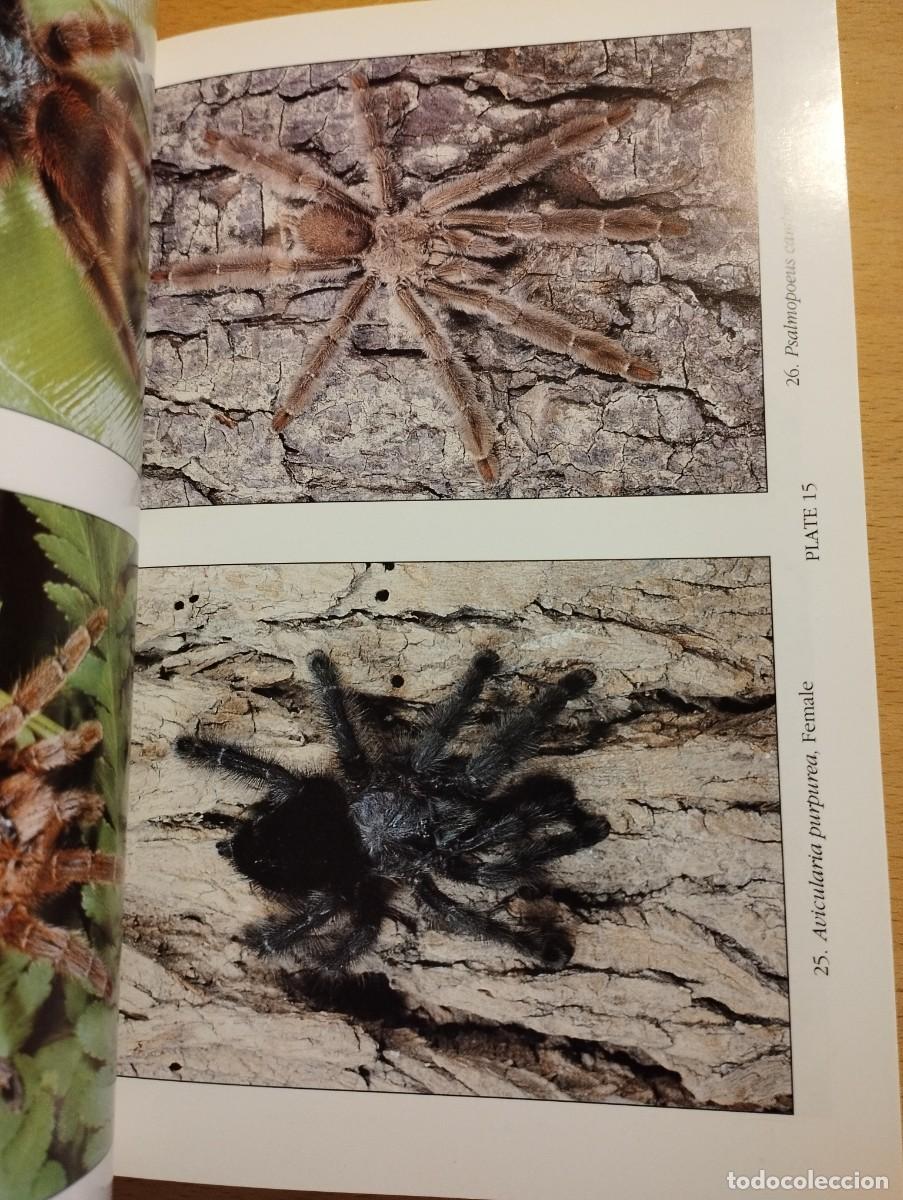 Libros de segunda mano: KEEPING AND BREEDING TARANTULAS (RONALD N. BAXTER) - Foto 7
