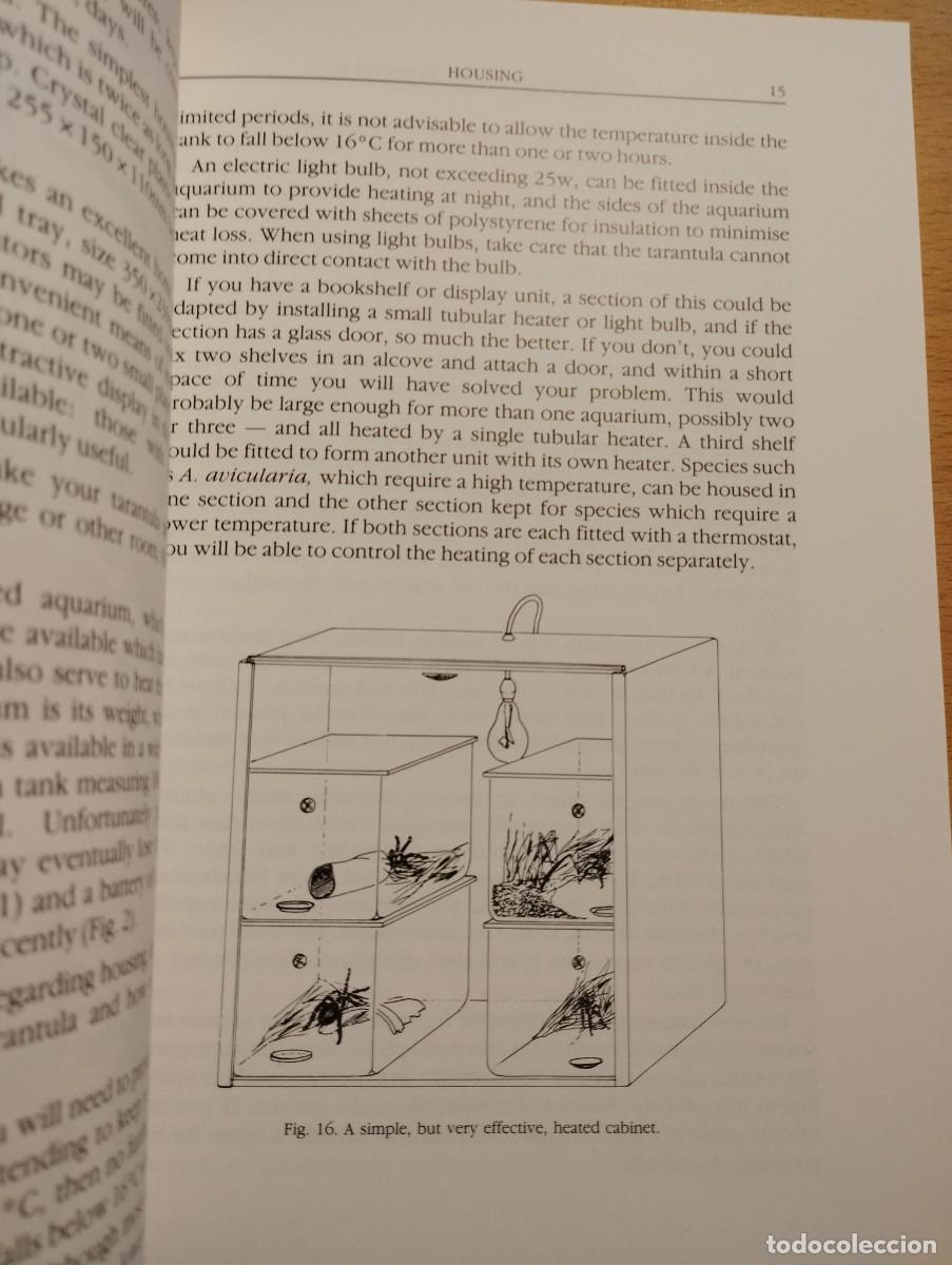 Libros de segunda mano: KEEPING AND BREEDING TARANTULAS (RONALD N. BAXTER) - Foto 9