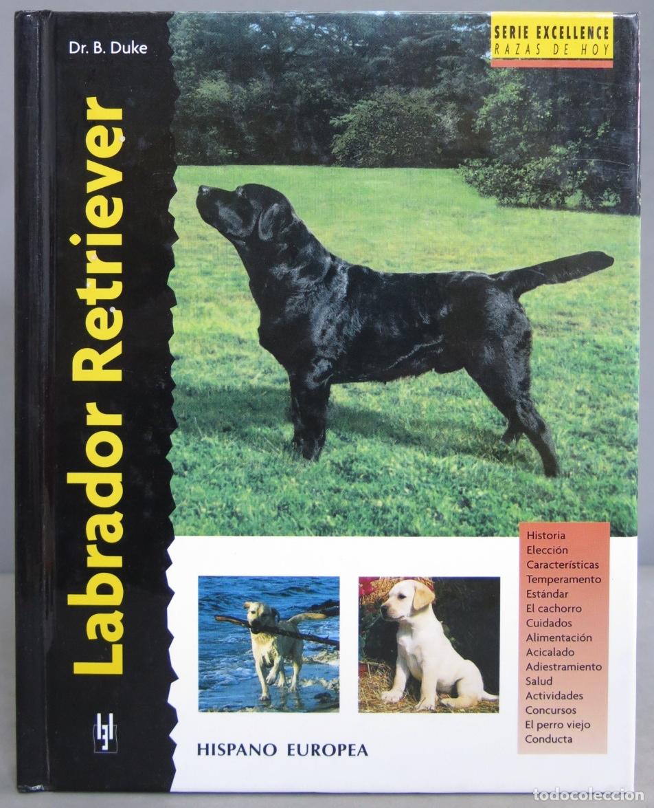 Libros de segunda mano: Labrador retriever. Duke - Foto 1