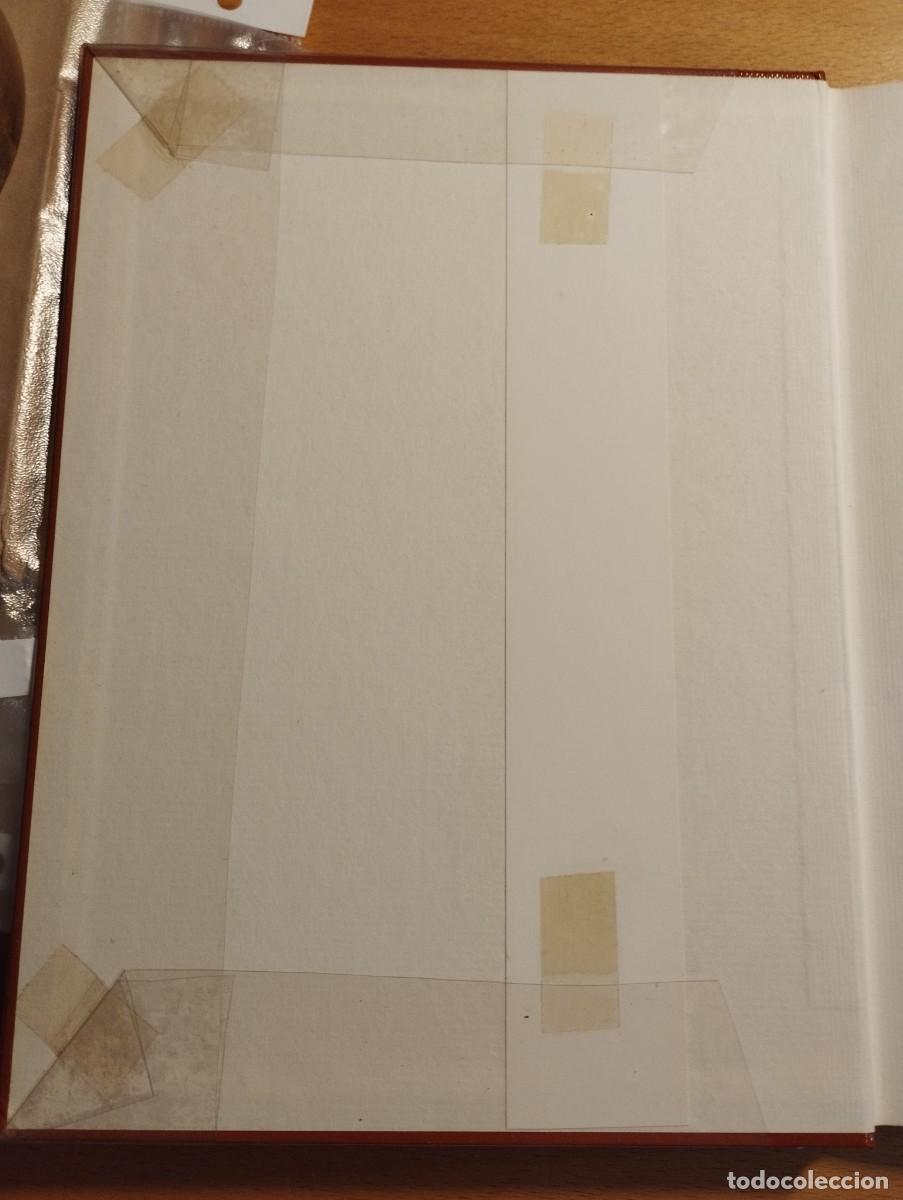 Libros de segunda mano: VOGELSPINNEN (G&Uuml;NTER SCHMIDT) LIBRO EN ALEM&Aacute;N SOBRE TAR&Aacute;NTULAS - Foto 2
