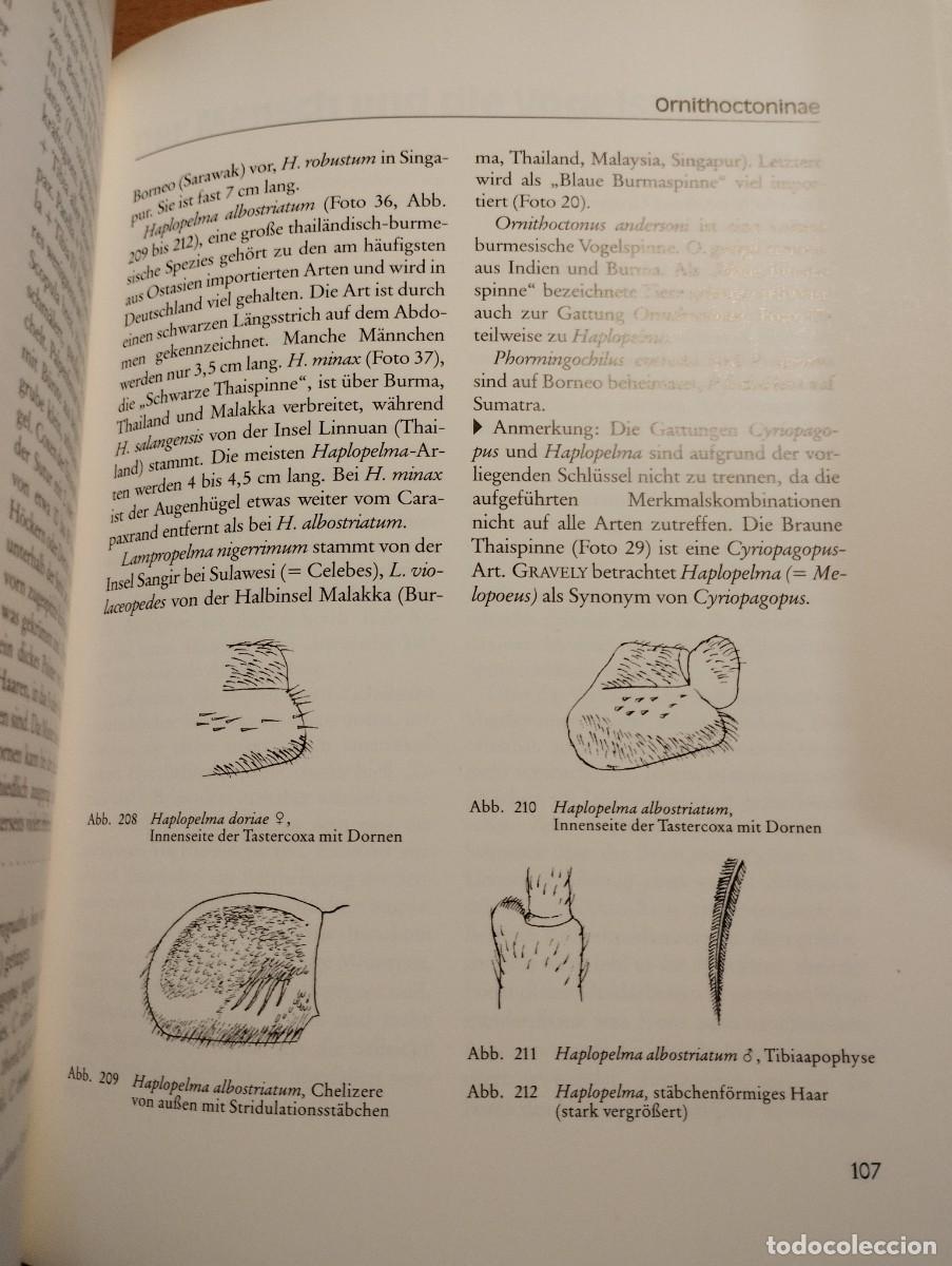 Libros de segunda mano: VOGELSPINNEN (G&Uuml;NTER SCHMIDT) LIBRO EN ALEM&Aacute;N SOBRE TAR&Aacute;NTULAS - Foto 5