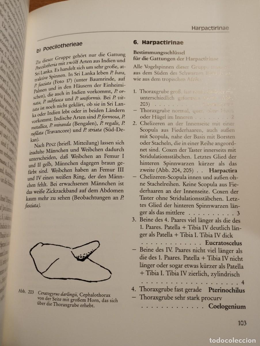 Libros de segunda mano: VOGELSPINNEN (G&Uuml;NTER SCHMIDT) LIBRO EN ALEM&Aacute;N SOBRE TAR&Aacute;NTULAS - Foto 6