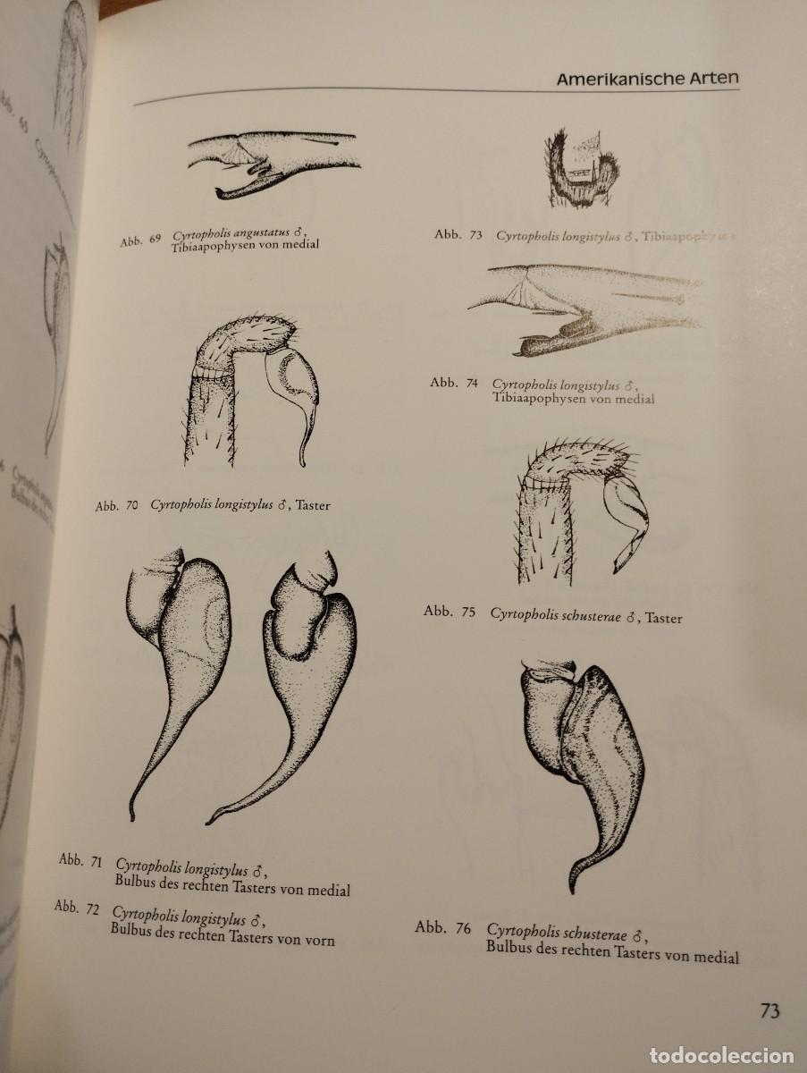 Libros de segunda mano: VOGELSPINNEN (G&Uuml;NTER SCHMIDT) LIBRO EN ALEM&Aacute;N SOBRE TAR&Aacute;NTULAS - Foto 9