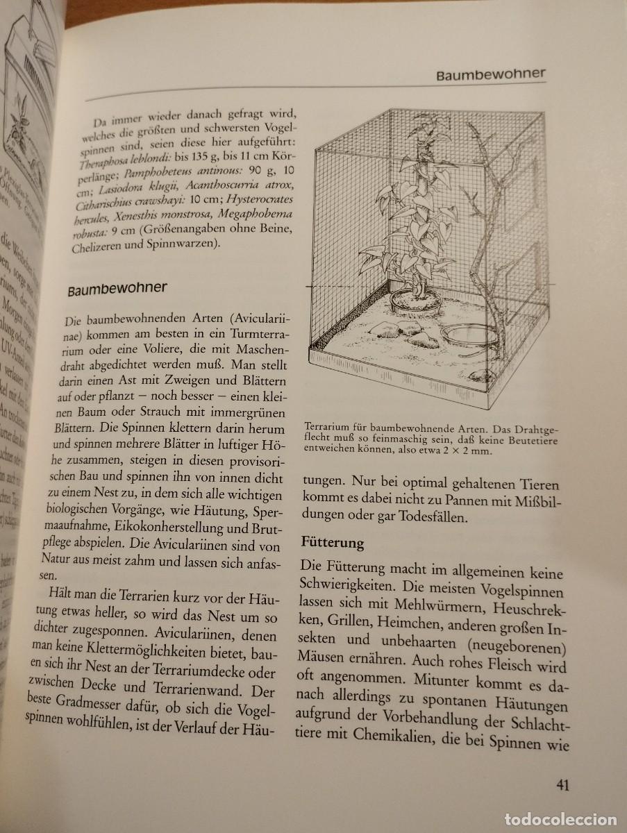 Libros de segunda mano: VOGELSPINNEN (G&Uuml;NTER SCHMIDT) LIBRO EN ALEM&Aacute;N SOBRE TAR&Aacute;NTULAS - Foto 12