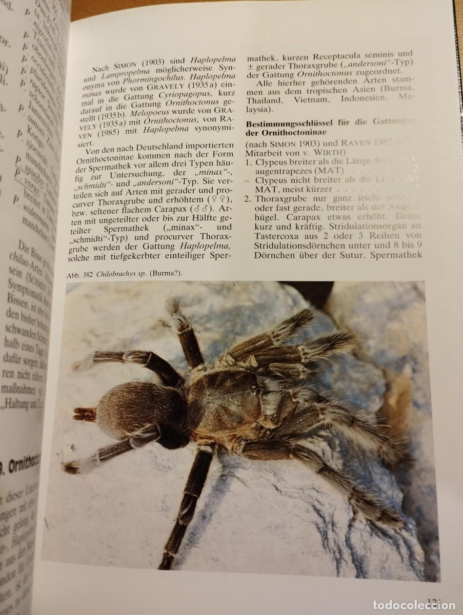 Libros de segunda mano: VOGELSPINNEN (DR. G&Uuml;NTER SCHMIDT) LIBRO EN ALEM&Aacute;N SOBRE TAR&Aacute;NTULAS - Foto 6