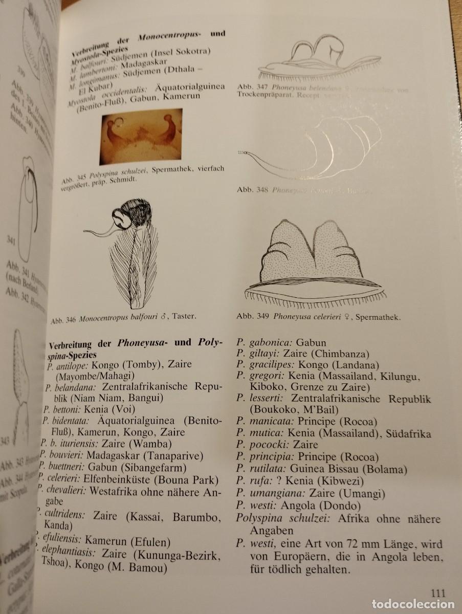 Libros de segunda mano: VOGELSPINNEN (DR. G&Uuml;NTER SCHMIDT) LIBRO EN ALEM&Aacute;N SOBRE TAR&Aacute;NTULAS - Foto 7