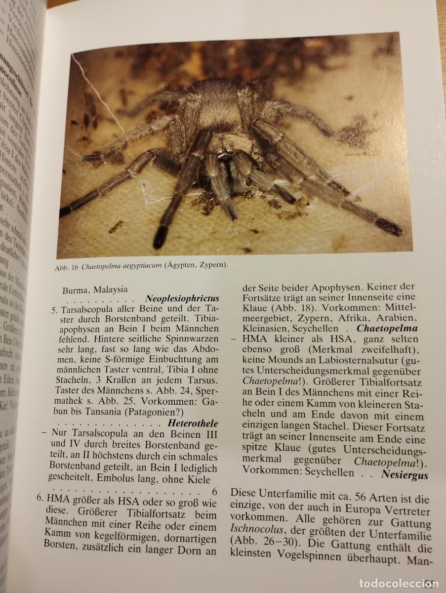 Libros de segunda mano: VOGELSPINNEN (DR. G&Uuml;NTER SCHMIDT) LIBRO EN ALEM&Aacute;N SOBRE TAR&Aacute;NTULAS - Foto 11