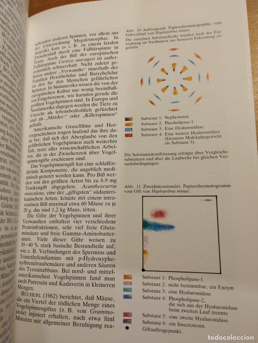 Libros de segunda mano: VOGELSPINNEN (DR. G&Uuml;NTER SCHMIDT) LIBRO EN ALEM&Aacute;N SOBRE TAR&Aacute;NTULAS - Foto 12