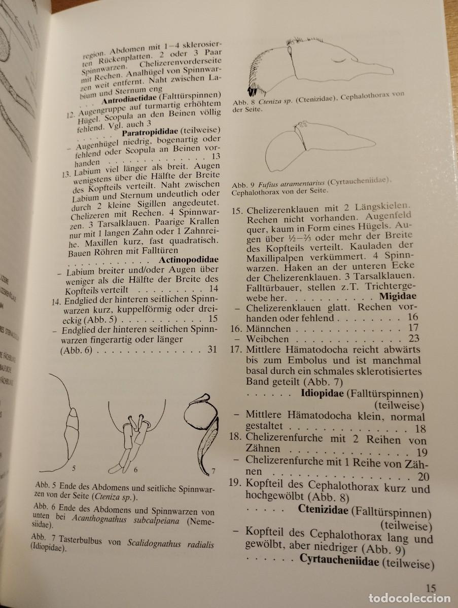 Libros de segunda mano: VOGELSPINNEN (DR. G&Uuml;NTER SCHMIDT) LIBRO EN ALEM&Aacute;N SOBRE TAR&Aacute;NTULAS - Foto 13