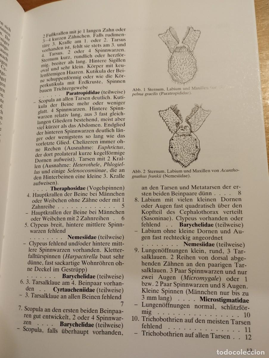 Libros de segunda mano: VOGELSPINNEN (DR. G&Uuml;NTER SCHMIDT) LIBRO EN ALEM&Aacute;N SOBRE TAR&Aacute;NTULAS - Foto 14