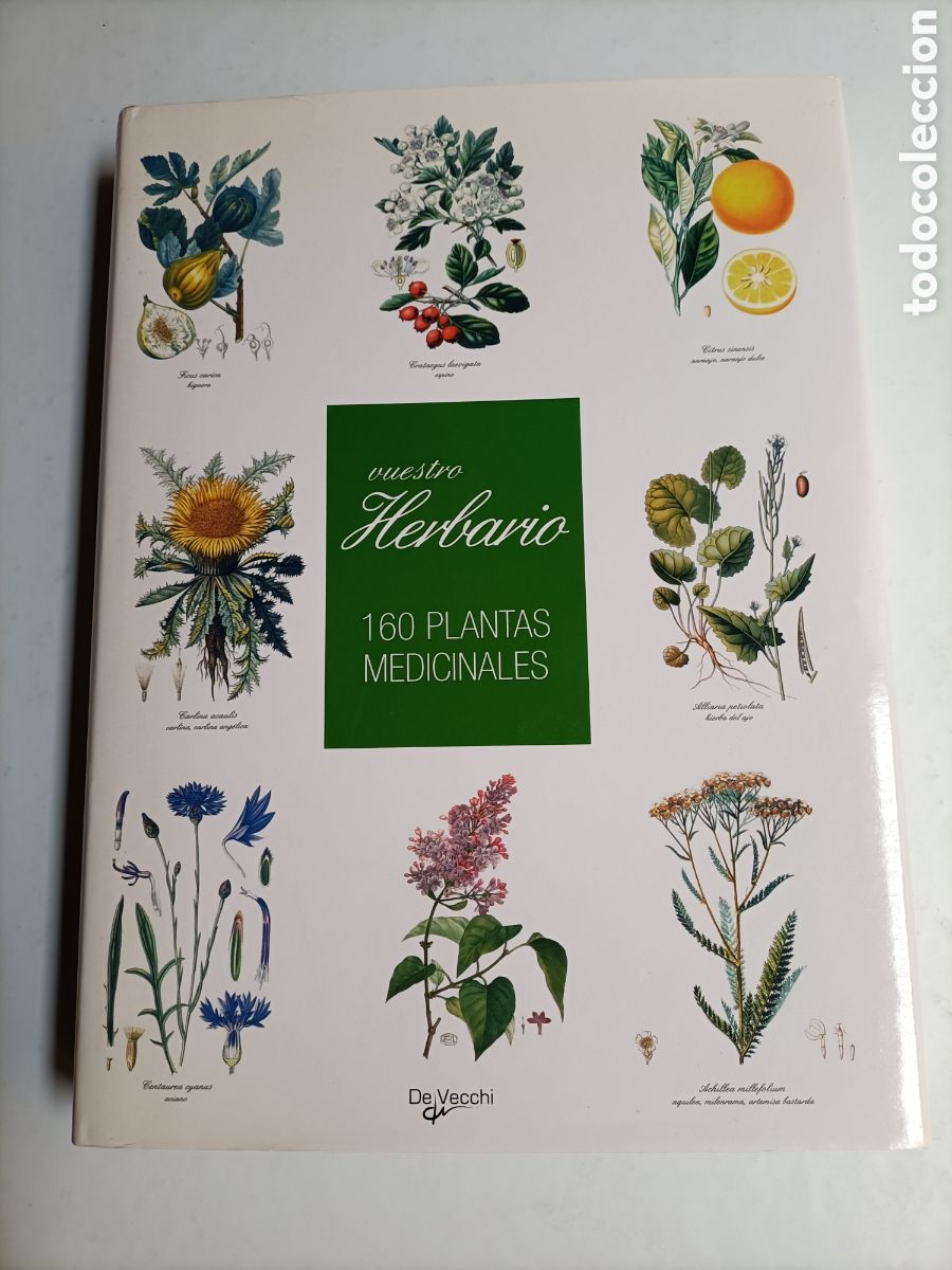 Libros de segunda mano: Vuestro herbario. 160 plantas medicinales - Foto 2