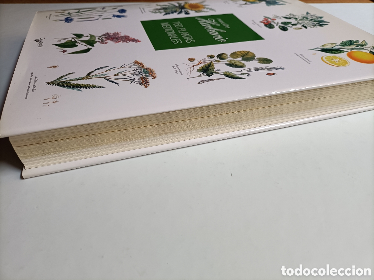 Libros de segunda mano: Vuestro herbario. 160 plantas medicinales - Foto 3
