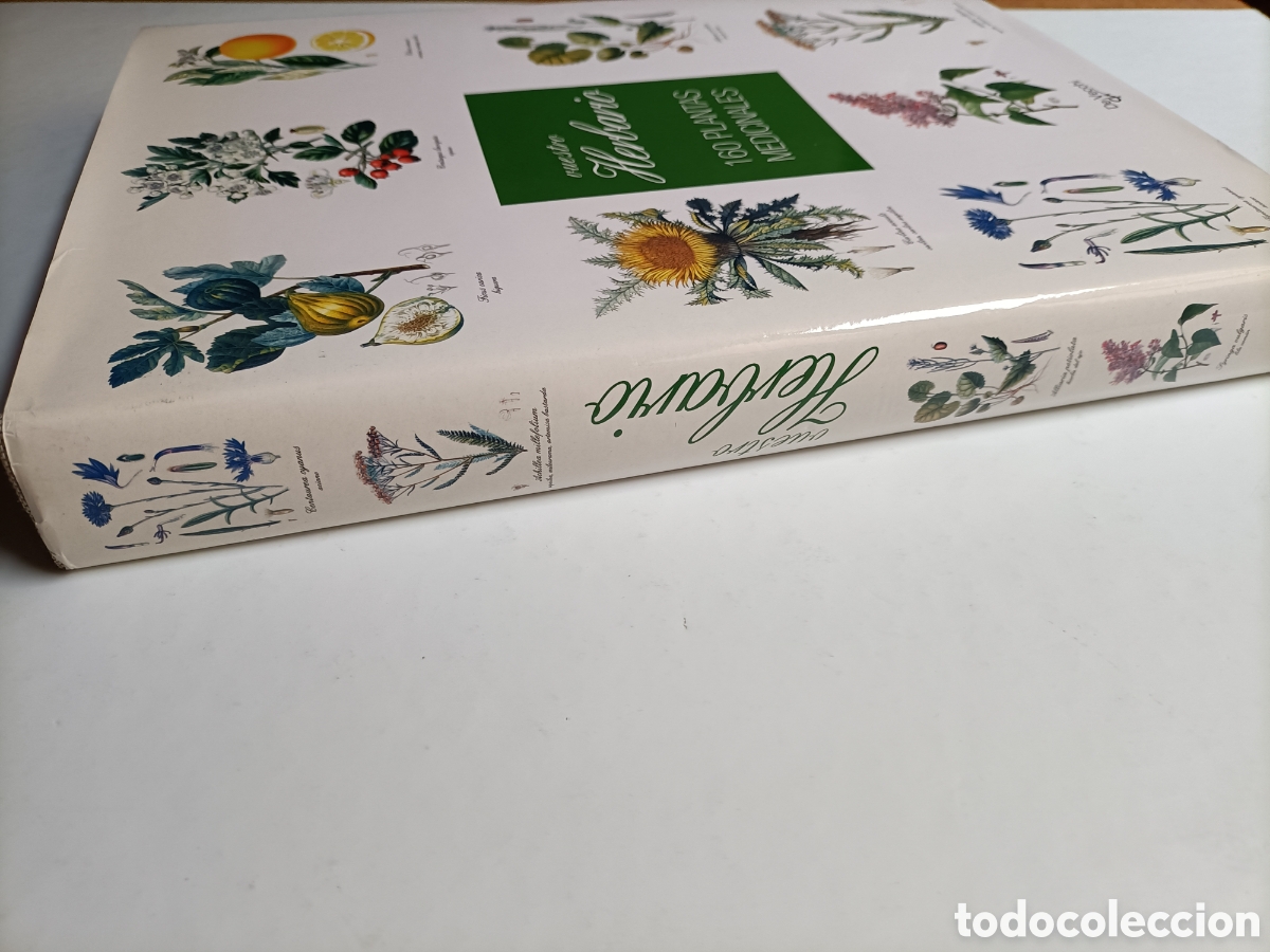Libros de segunda mano: Vuestro herbario. 160 plantas medicinales - Foto 4