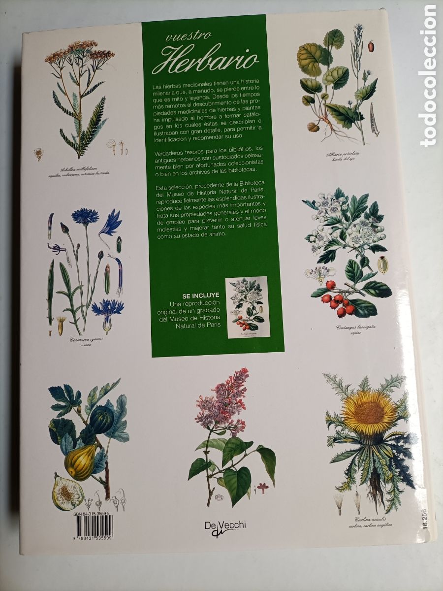 Libros de segunda mano: Vuestro herbario. 160 plantas medicinales - Foto 5