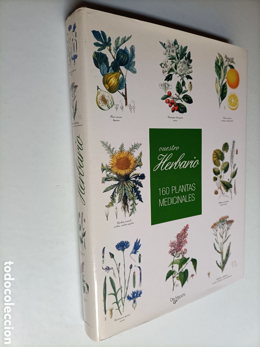 Libros de segunda mano: Vuestro herbario. 160 plantas medicinales - Foto 1