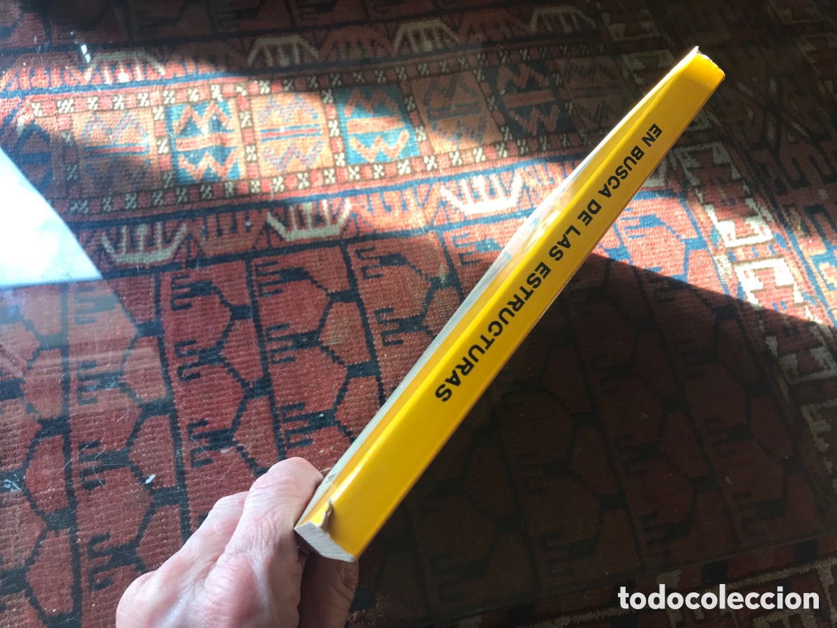 Libros de segunda mano de ciencias: En busca de las estructuras. Nueva pedagog&iacute;a de la matem&aacute;tica. Remi Ziglon. Teide - Foto 2