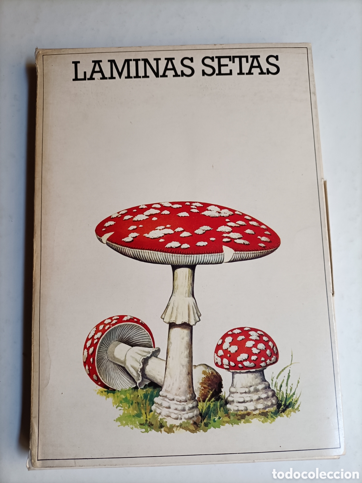 Libros de segunda mano: L&aacute;minas setas.50 l&aacute;minas . Laboratorio Emyfar - Foto 2