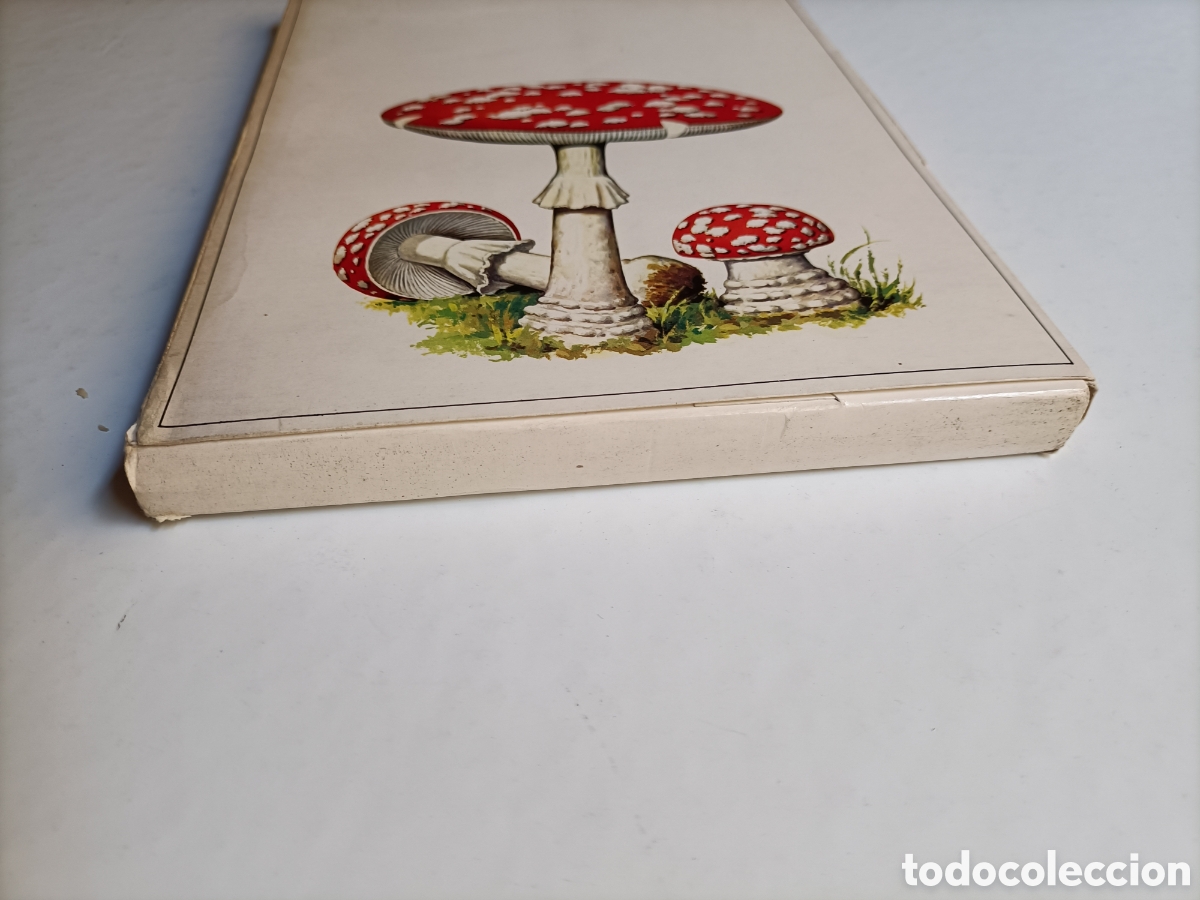 Libros de segunda mano: L&aacute;minas setas.50 l&aacute;minas . Laboratorio Emyfar - Foto 3