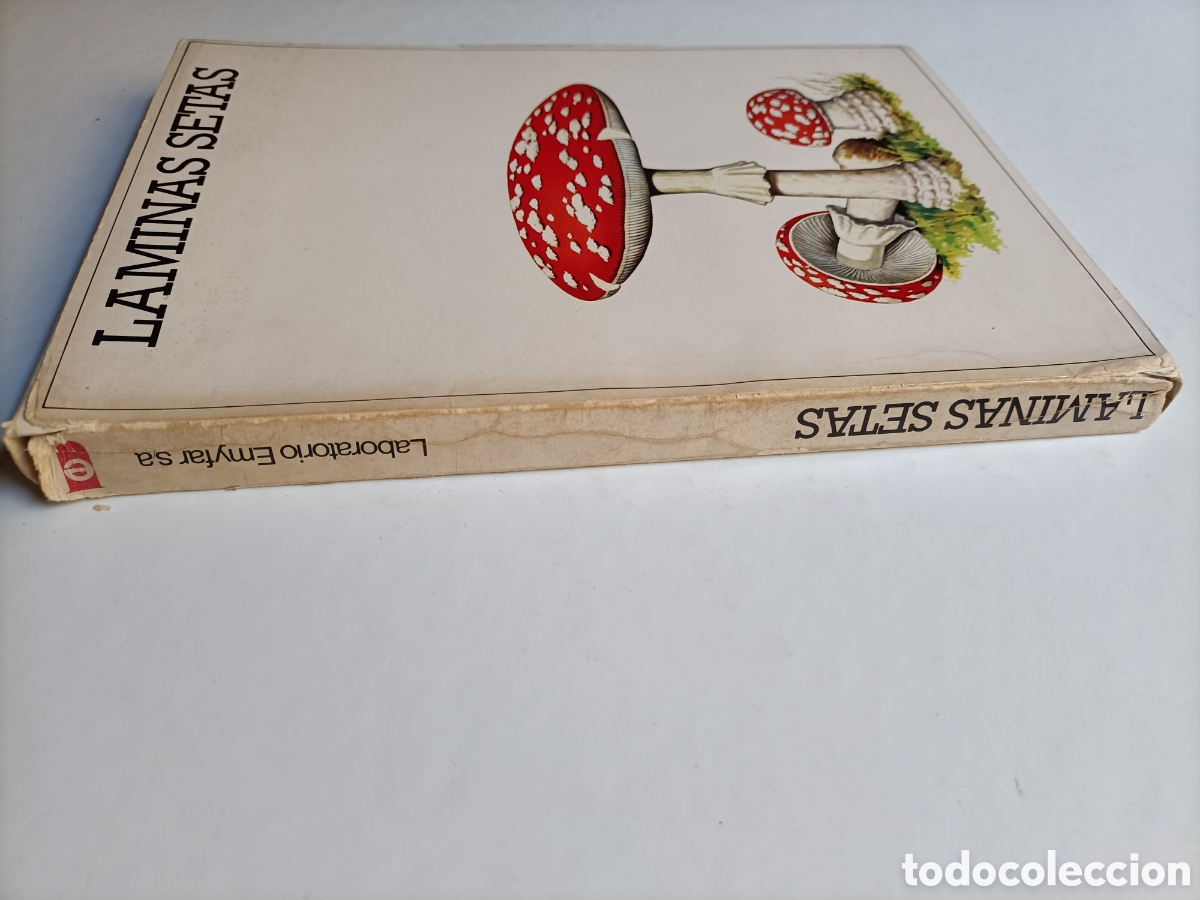 Libros de segunda mano: L&aacute;minas setas.50 l&aacute;minas . Laboratorio Emyfar - Foto 4