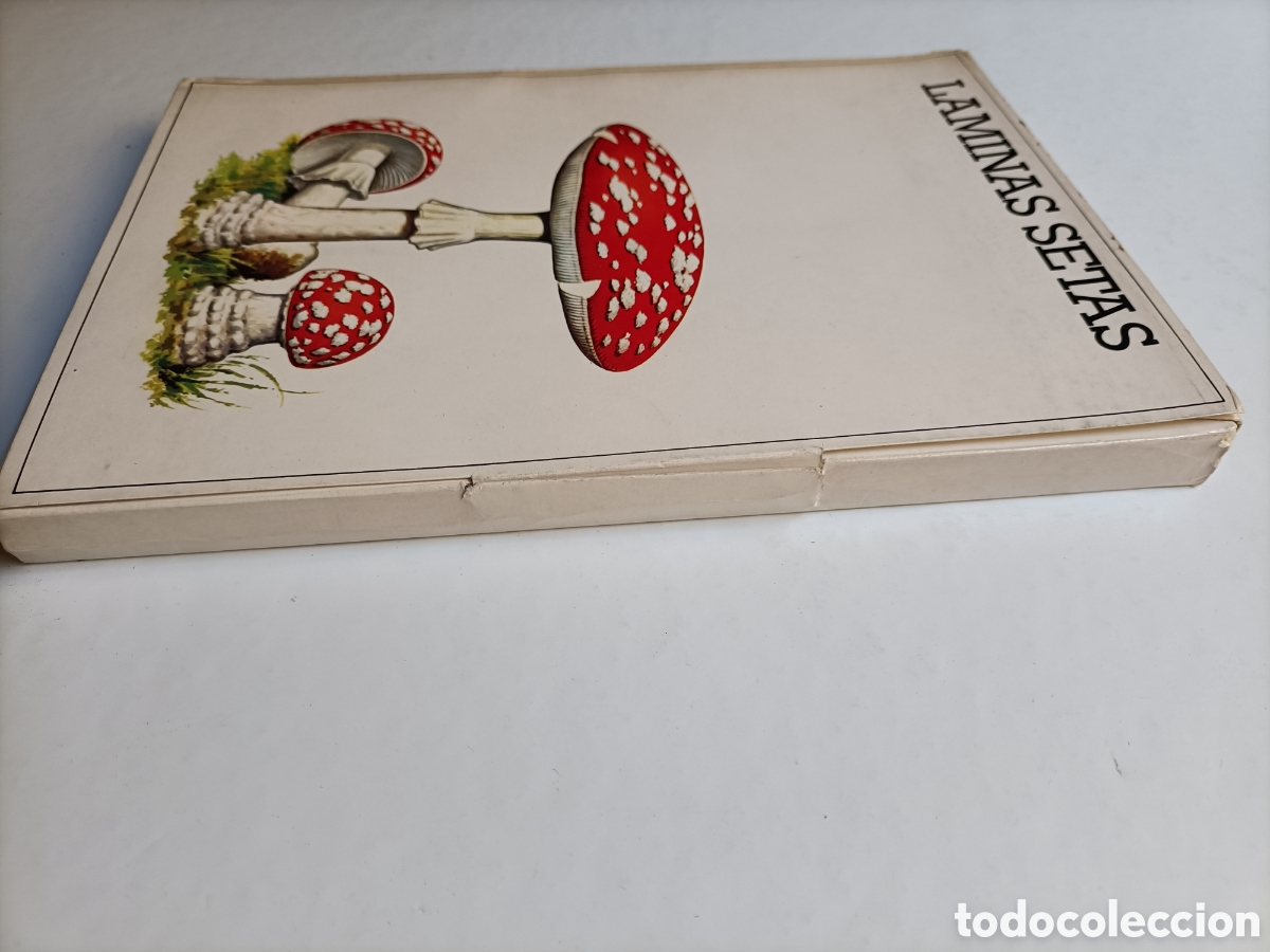 Libros de segunda mano: L&aacute;minas setas.50 l&aacute;minas . Laboratorio Emyfar - Foto 5