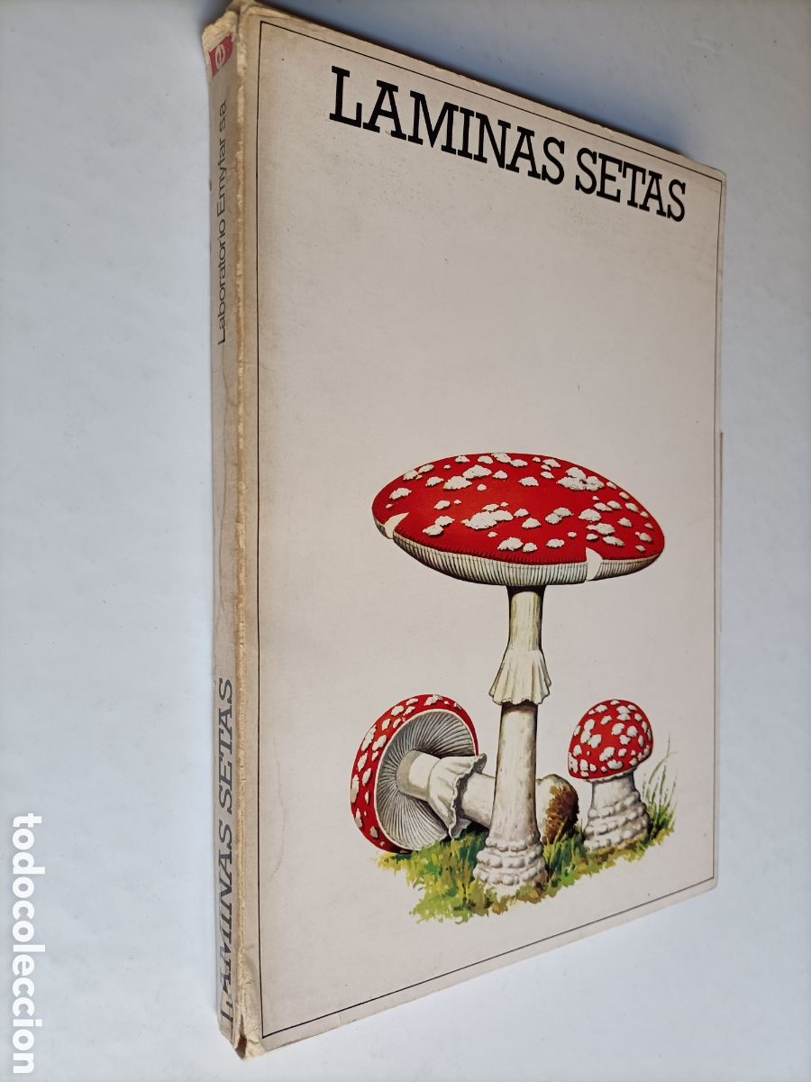 Libros de segunda mano: L&aacute;minas setas.50 l&aacute;minas . Laboratorio Emyfar - Foto 1