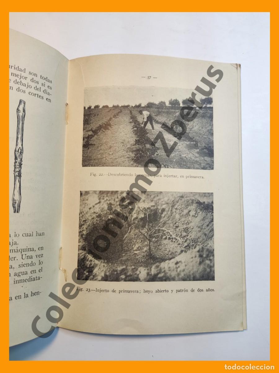 Libros de segunda mano: Injerto de la Vid - Antonio Larrea Redondo - Foto 2