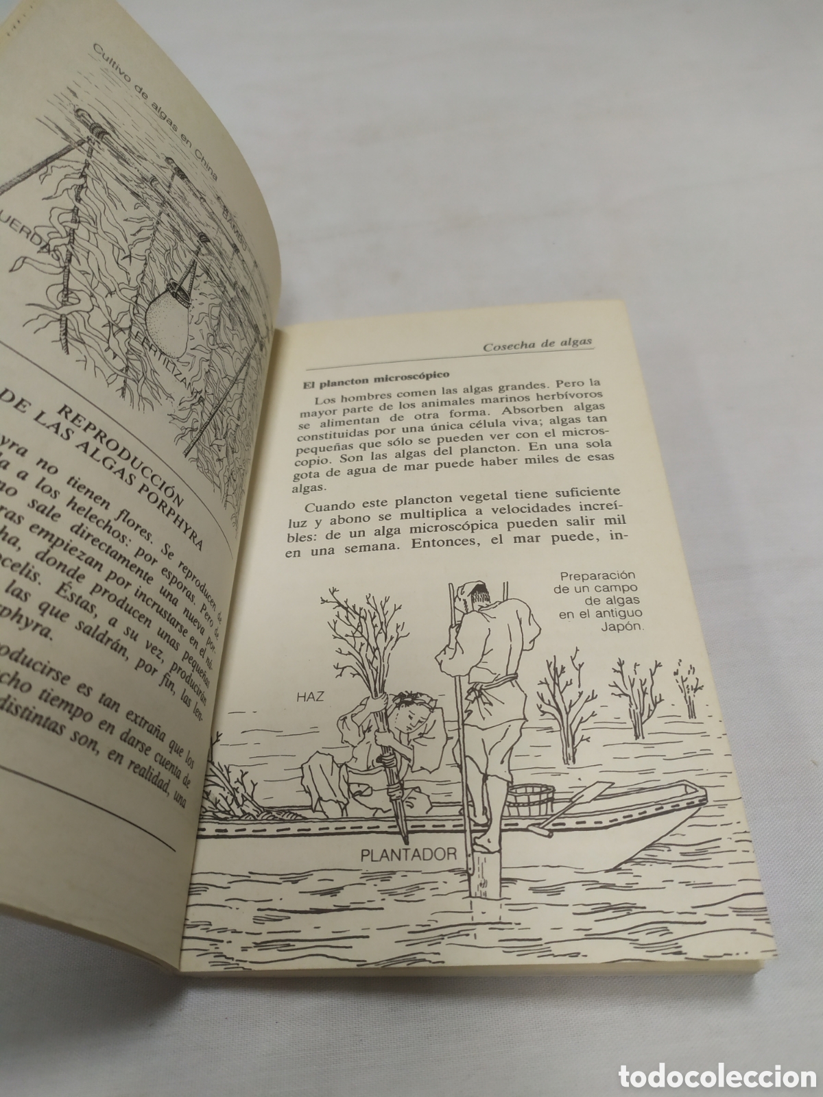 Libros de segunda mano: Granjas en el mar. Pierre Av&eacute;rous, editorial SM - Foto 4