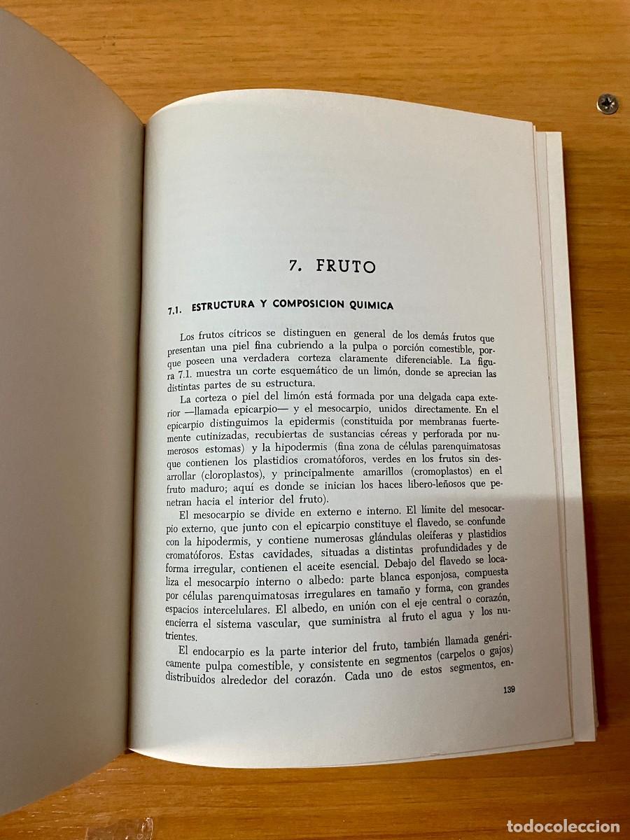 Libros de segunda mano: El lim&oacute;n murciano - Foto 3