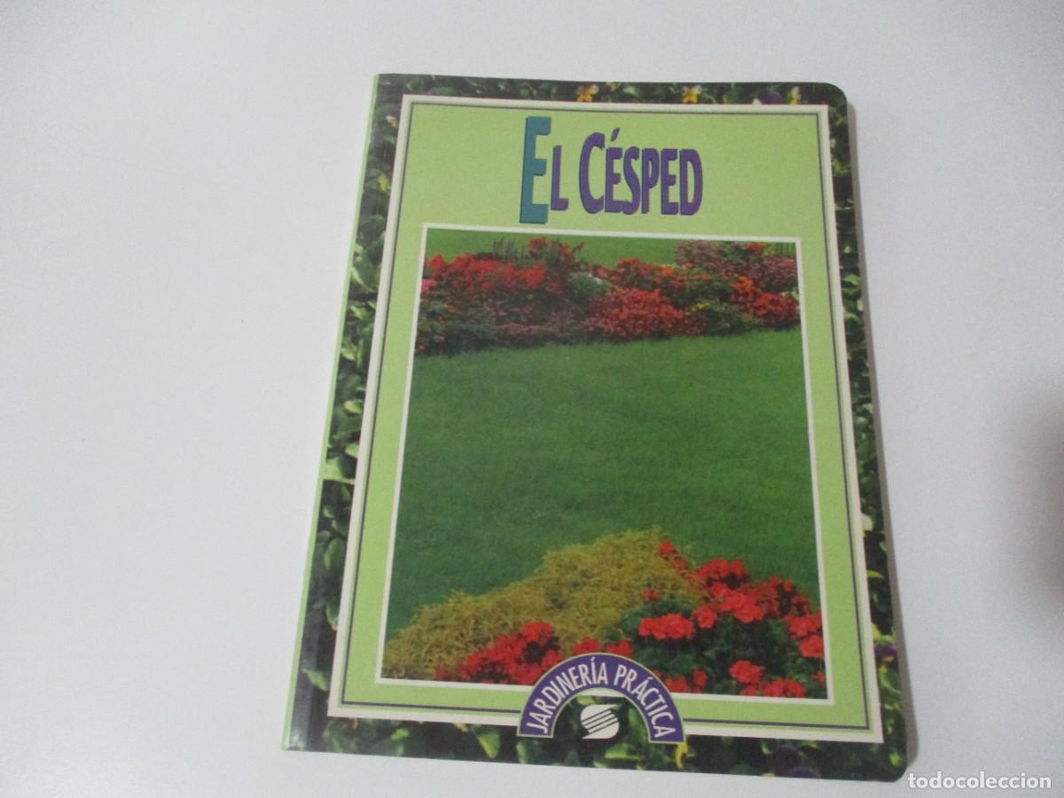 Libros de segunda mano: MICHEL SAUR El c&eacute;sped W16569 - Foto 1