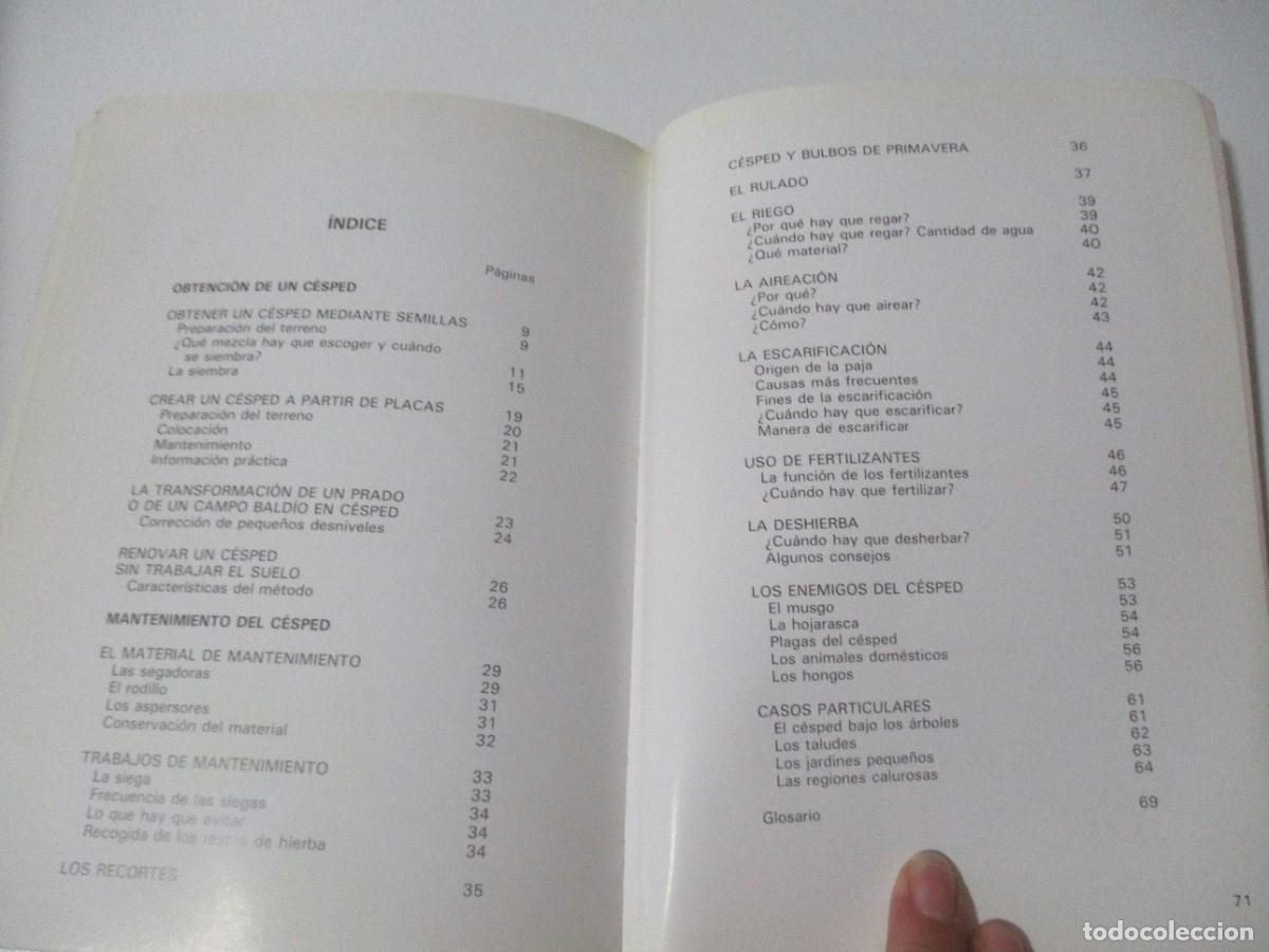 Libros de segunda mano: MICHEL SAUR El c&eacute;sped W16569 - Foto 2