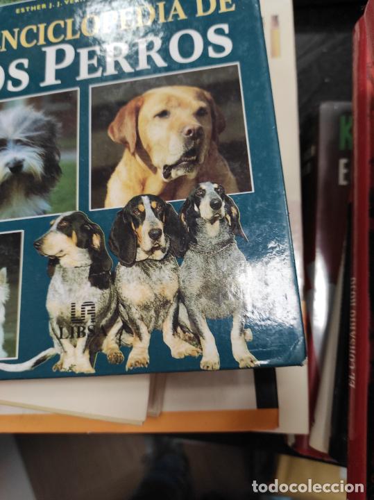 Libros de segunda mano: la enciclopedia de los perros - Foto 2