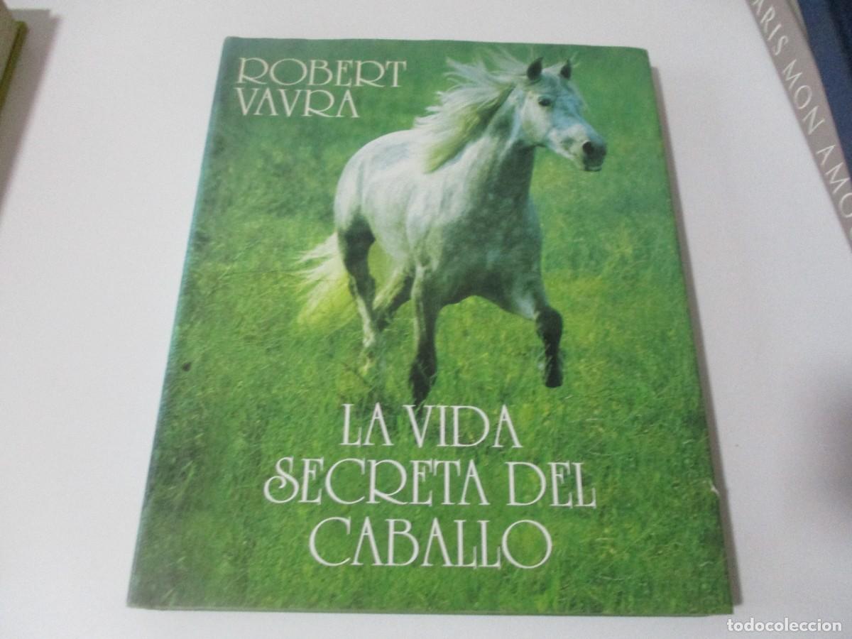 Libros de segunda mano: ROBERT VAVRA La vida secreta del caballo W16626 - Foto 1