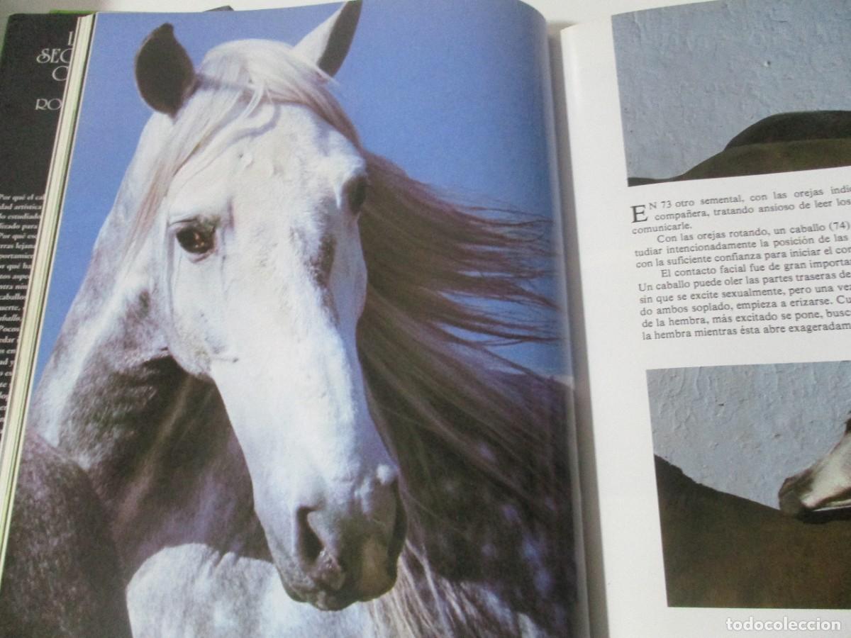 Libros de segunda mano: ROBERT VAVRA La vida secreta del caballo W16626 - Foto 2