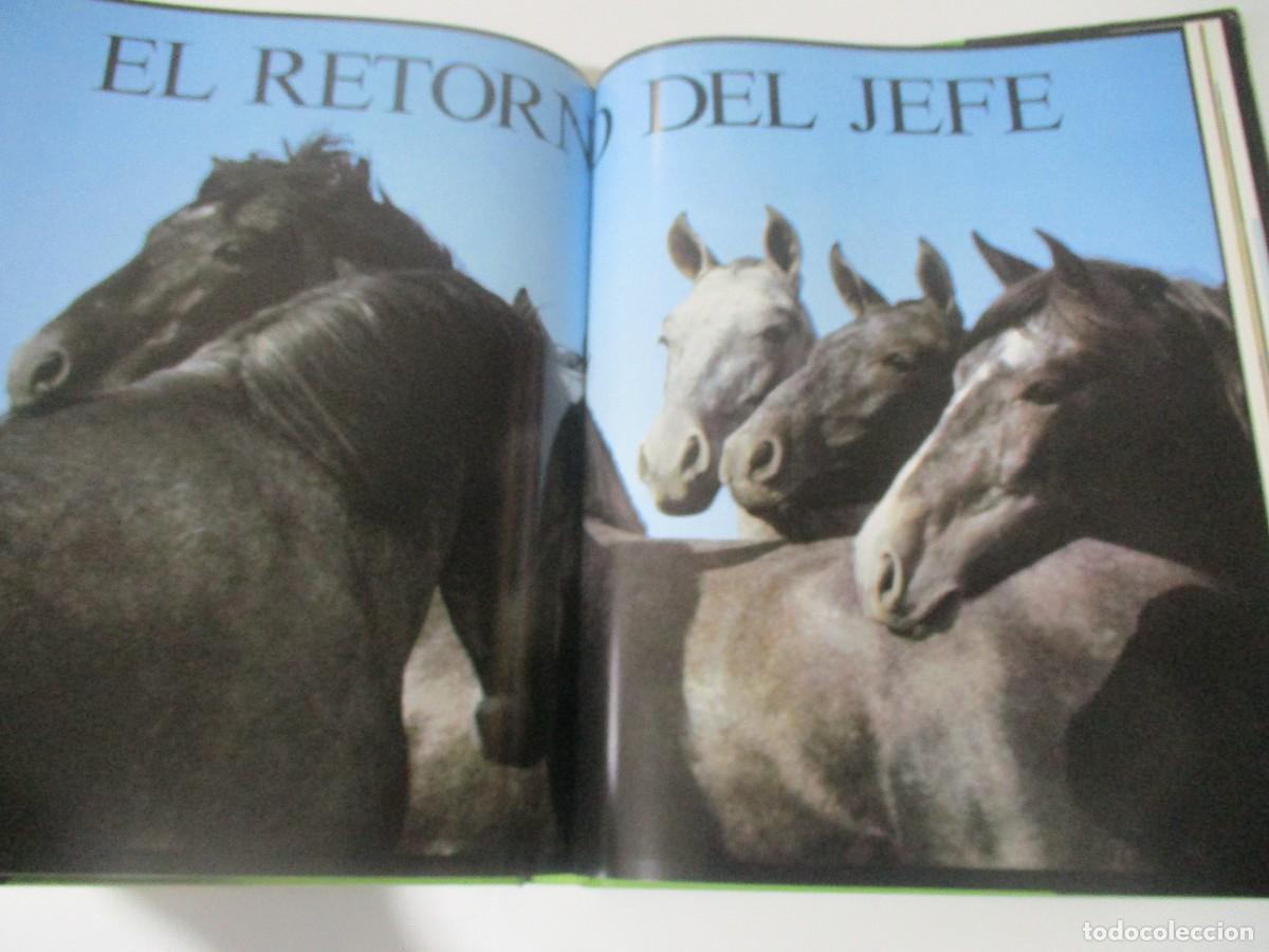 Libros de segunda mano: ROBERT VAVRA La vida secreta del caballo W16626 - Foto 5