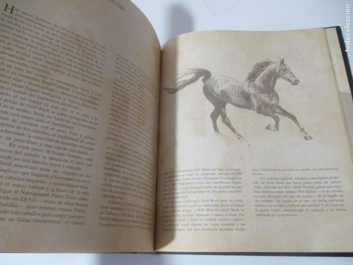 Libros de segunda mano: ROBERT VAVRA Caballos de la luz W16627 - Foto 4