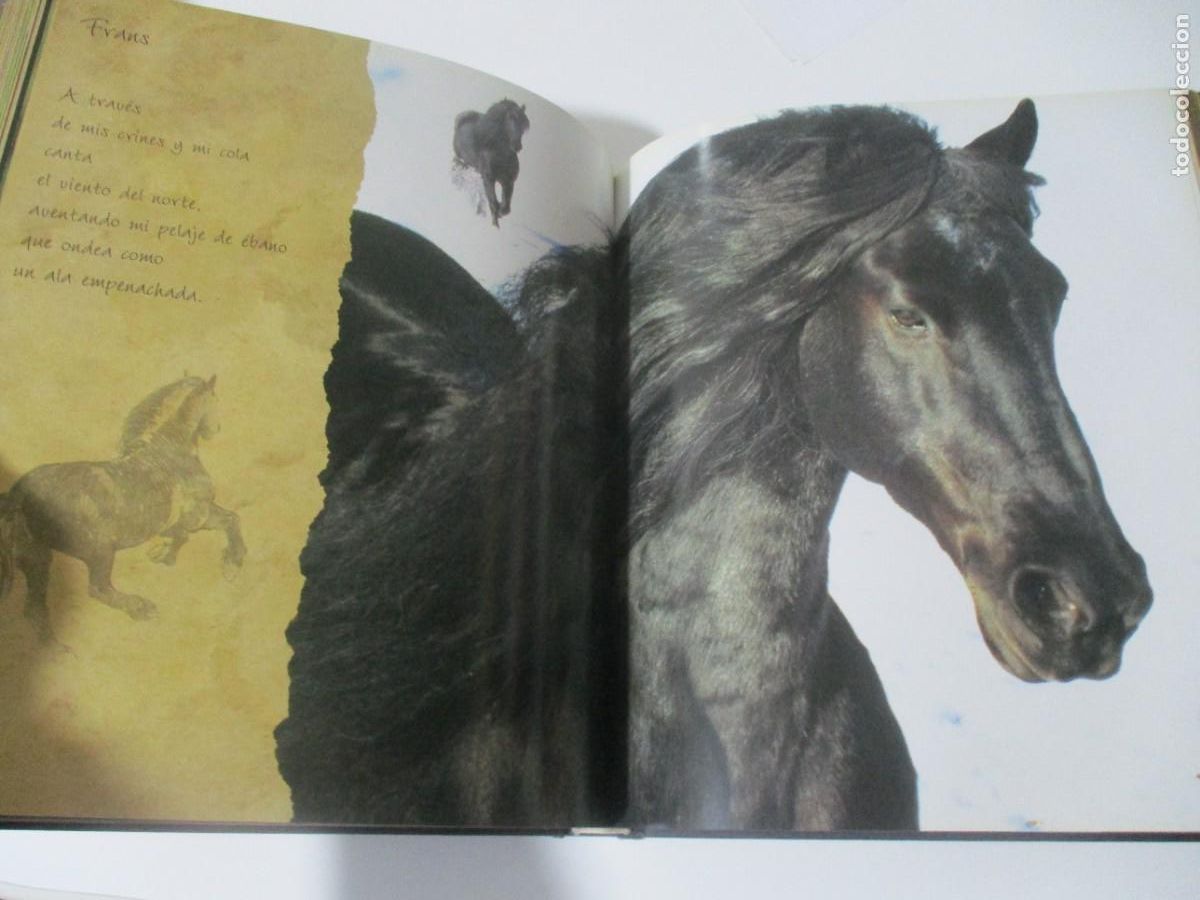 Libros de segunda mano: ROBERT VAVRA Caballos de la luz W16627 - Foto 5