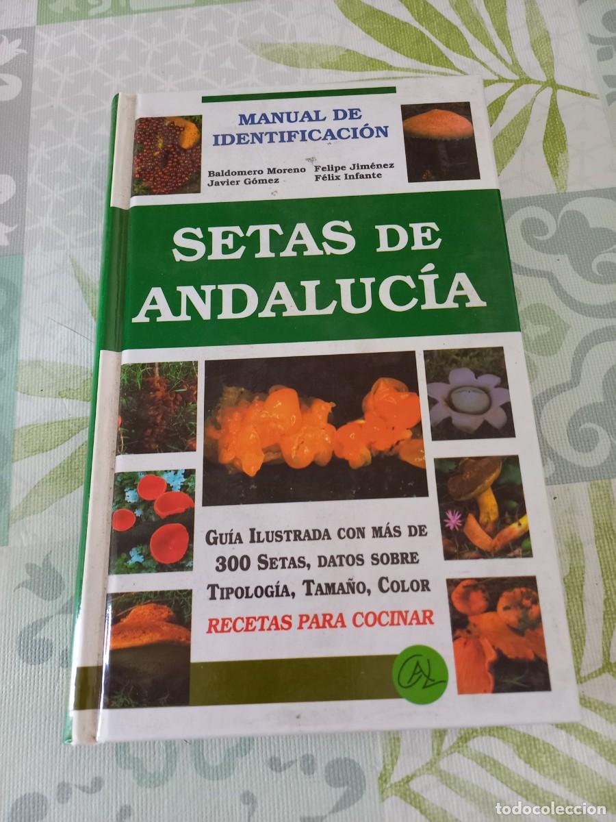 Libros de segunda mano: SETAS DE ANDALUCIA - MANUAL DE IDENTIFICACION Y RECETAS - Foto 1