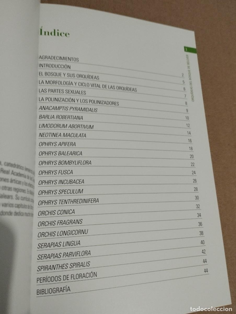 Libros de segunda mano: ORQU&Iacute;DEAS DEL BOSQUE DE BELLVER (MALLORCA) SVEN JONASSON - Foto 3