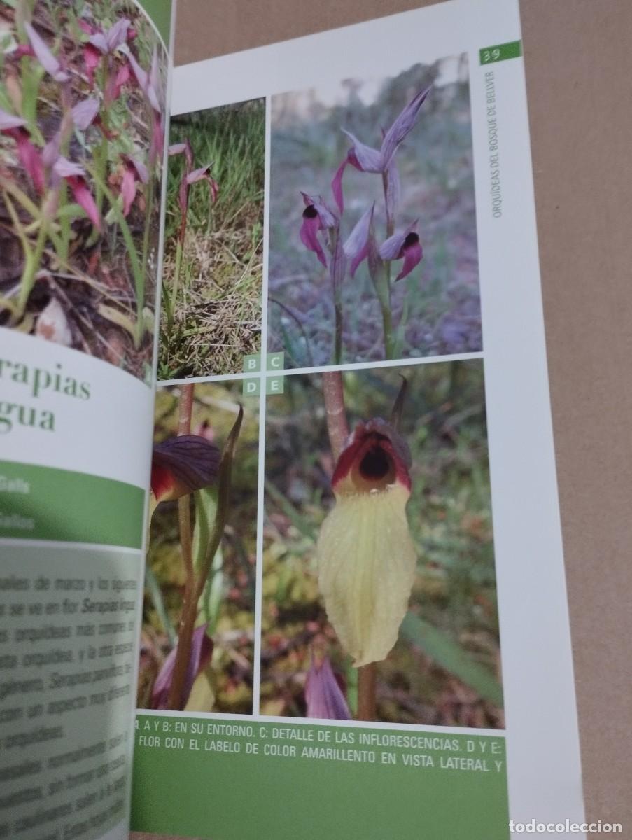 Libros de segunda mano: ORQU&Iacute;DEAS DEL BOSQUE DE BELLVER (MALLORCA) SVEN JONASSON - Foto 4