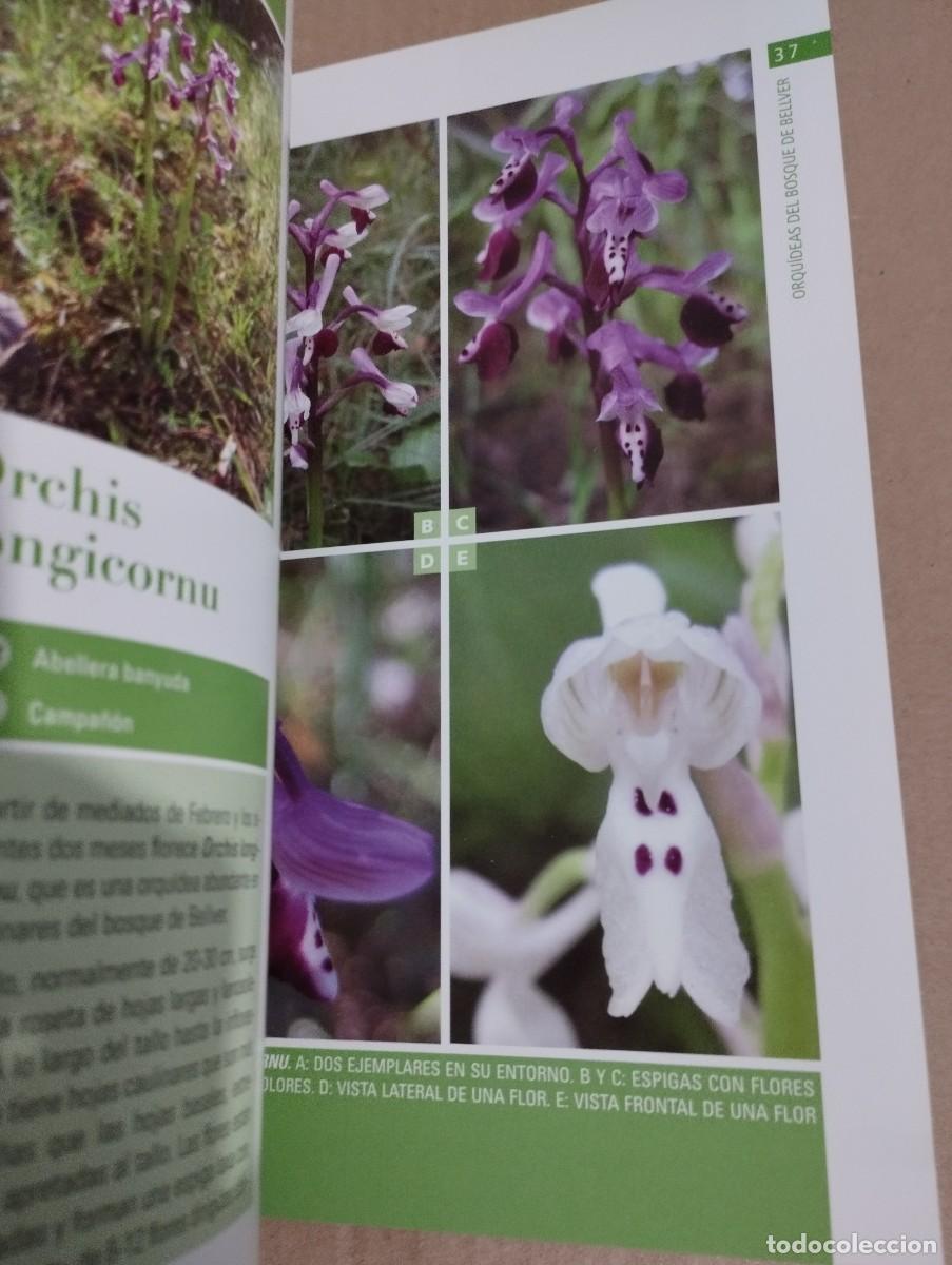 Libros de segunda mano: ORQU&Iacute;DEAS DEL BOSQUE DE BELLVER (MALLORCA) SVEN JONASSON - Foto 5
