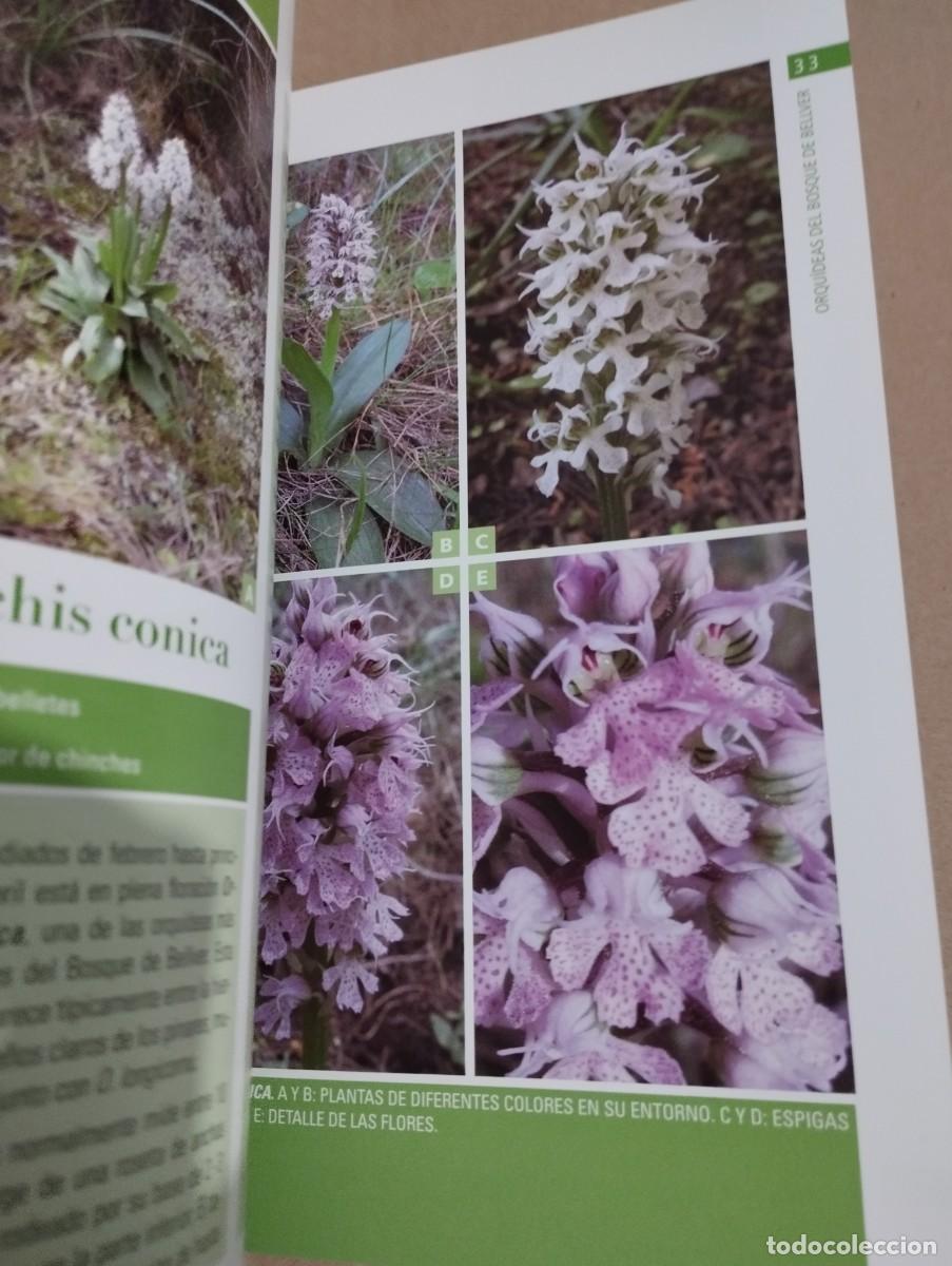 Libros de segunda mano: ORQU&Iacute;DEAS DEL BOSQUE DE BELLVER (MALLORCA) SVEN JONASSON - Foto 6