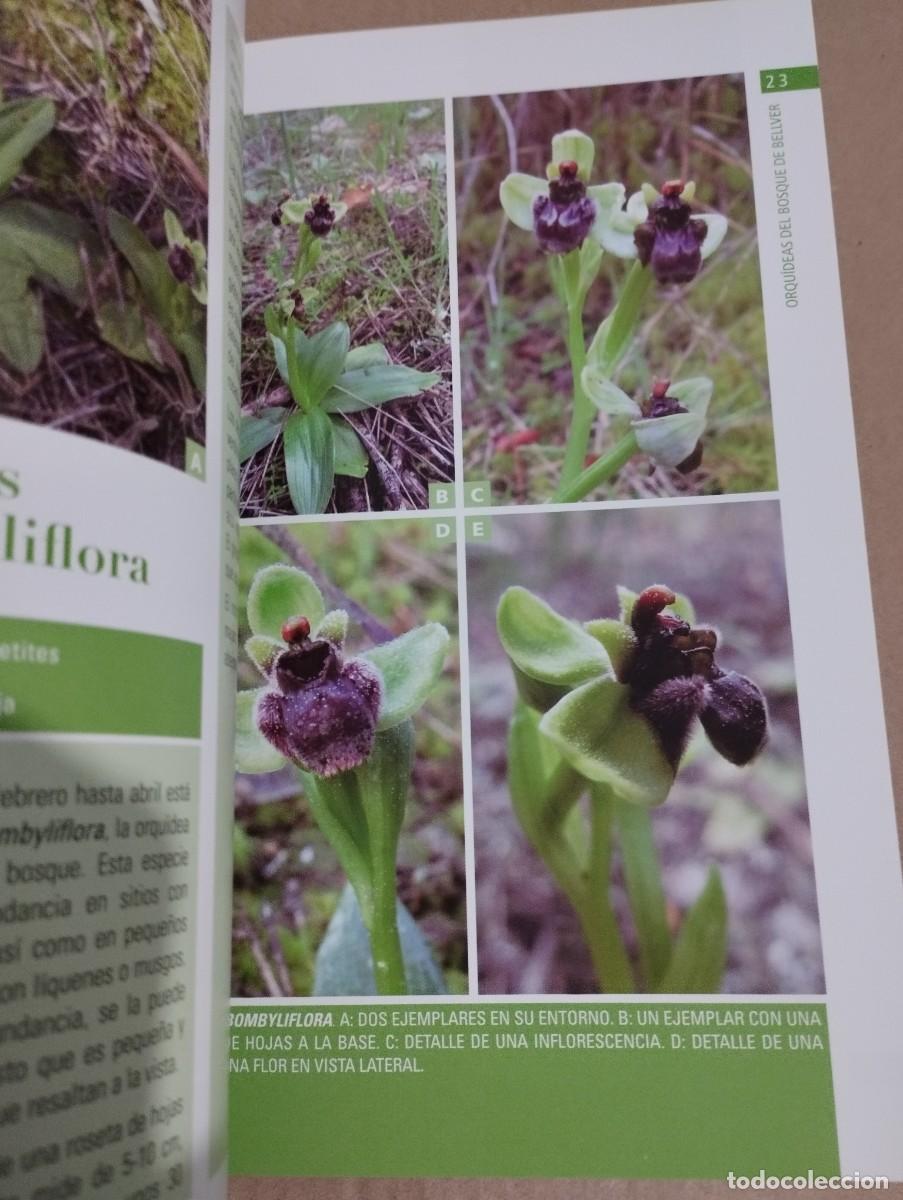 Libros de segunda mano: ORQU&Iacute;DEAS DEL BOSQUE DE BELLVER (MALLORCA) SVEN JONASSON - Foto 8