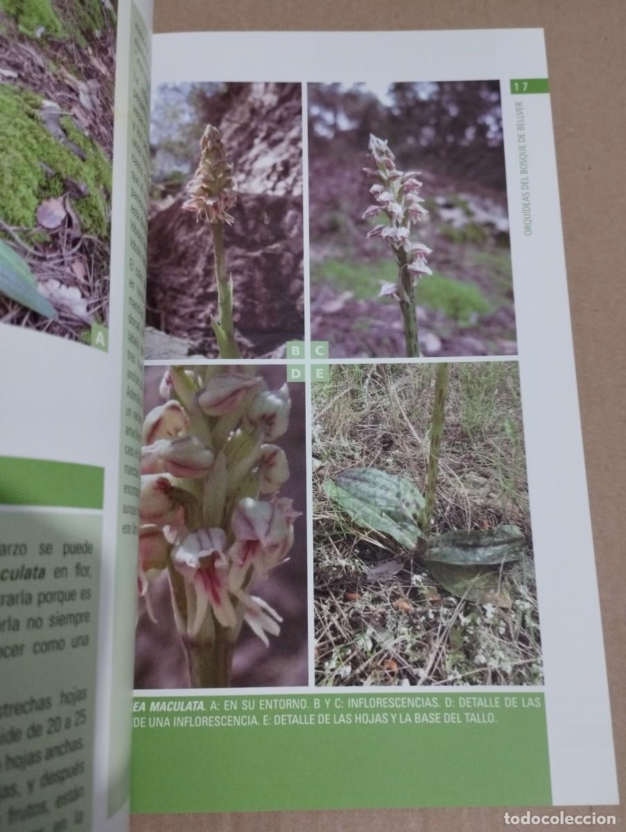 Libros de segunda mano: ORQU&Iacute;DEAS DEL BOSQUE DE BELLVER (MALLORCA) SVEN JONASSON - Foto 9