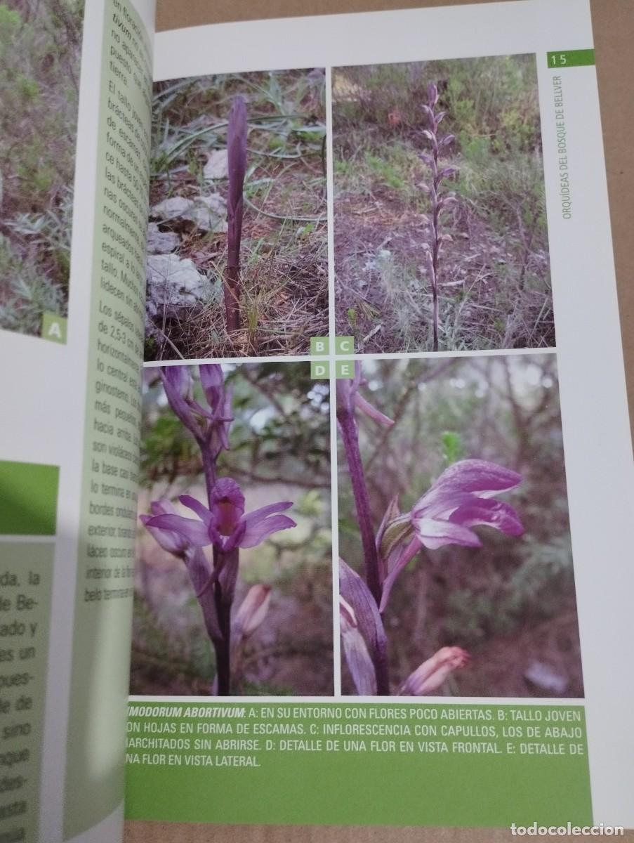 Libros de segunda mano: ORQU&Iacute;DEAS DEL BOSQUE DE BELLVER (MALLORCA) SVEN JONASSON - Foto 10
