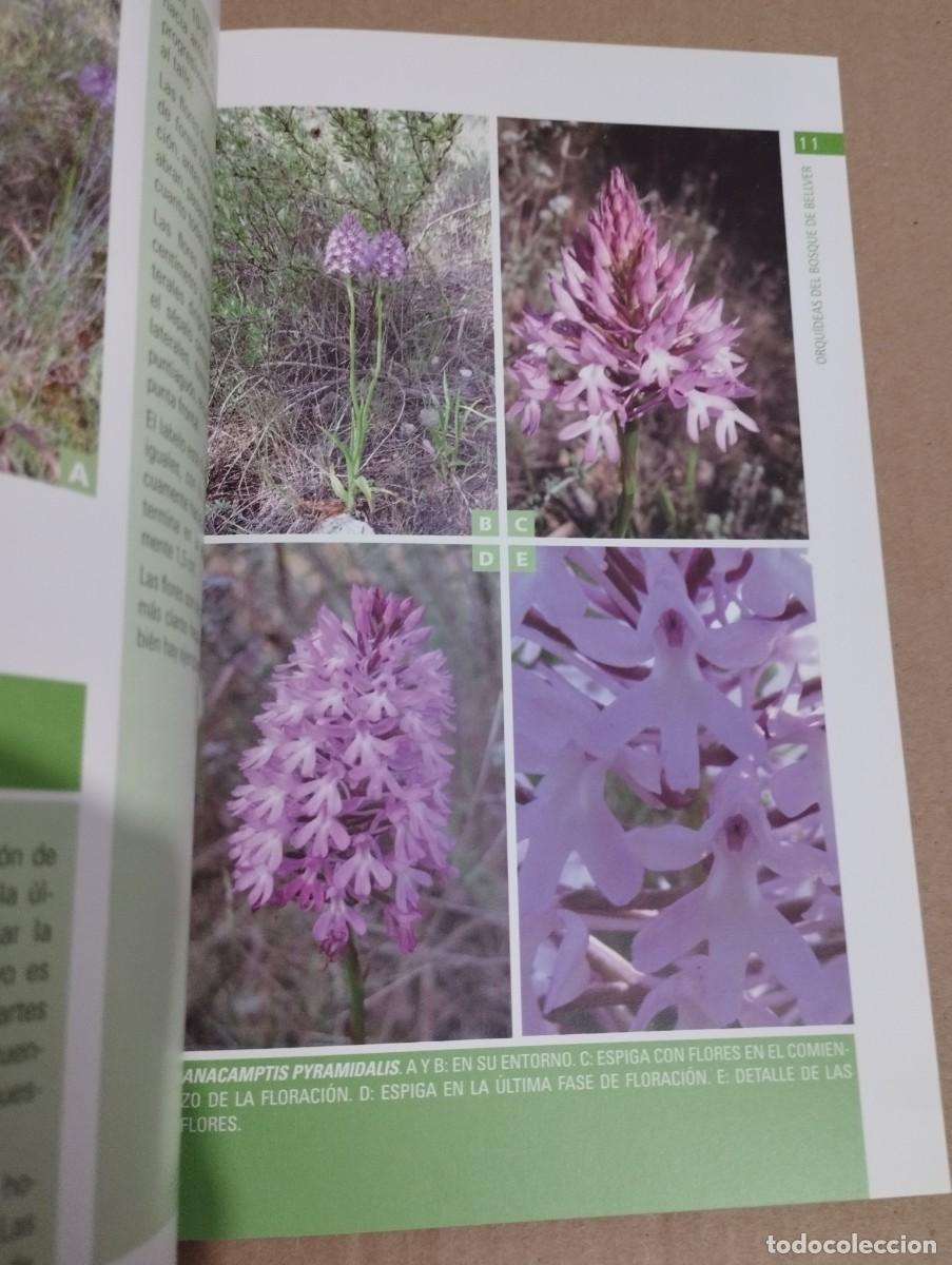 Libros de segunda mano: ORQU&Iacute;DEAS DEL BOSQUE DE BELLVER (MALLORCA) SVEN JONASSON - Foto 11